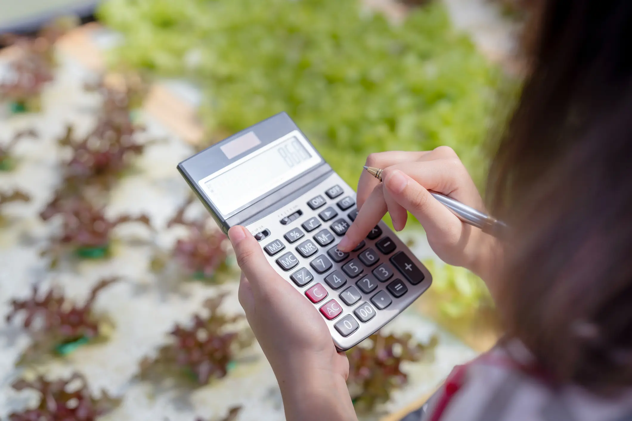Woman farmer use Calculator checking stock and price hydroponics vegetables in market greenhouse, Organic farmer working technology payment and shopping, Farmers small business healthy food nutrition Person holding a calculator and pen, pressing numbers while standing over rows of small plants — calculating monthly land financing or mortgage payments for buying acreage in Oklahoma with in-house seller financing.